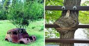 27 dowodów na to, że natura jest głodna życia i pochłania wszystko, co spotyka na swojej drodze