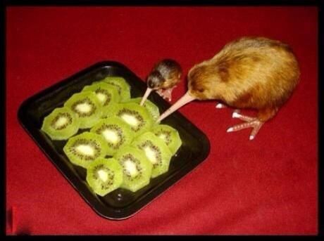 Kiwi