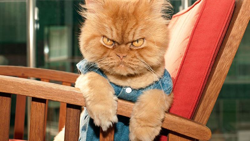 To jest moje miejsce!