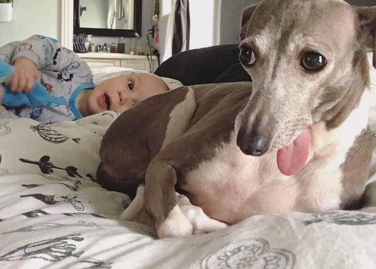 Bała się wszystkiego. Pomógł jej... niemowlak