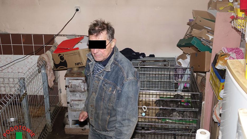 Gwiazda oskarżyła hodowców o okrucieństwo wobec zwierząt