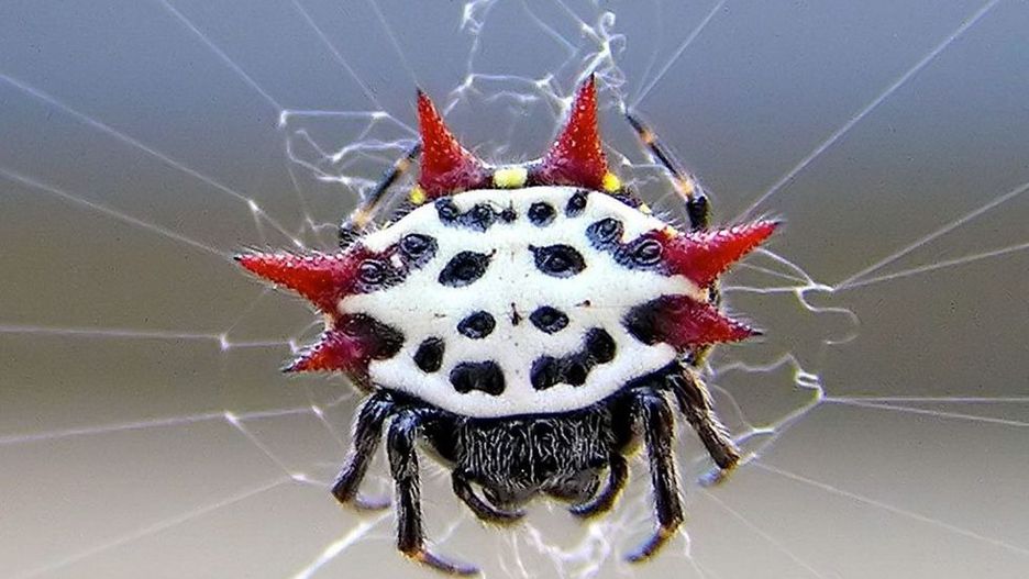 Niezwykłe odkrycie naukowców 