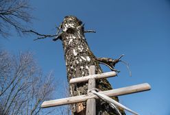 W 2010 r. zginęła tam para prezydencka. Teraz powstaje tam gazociąg