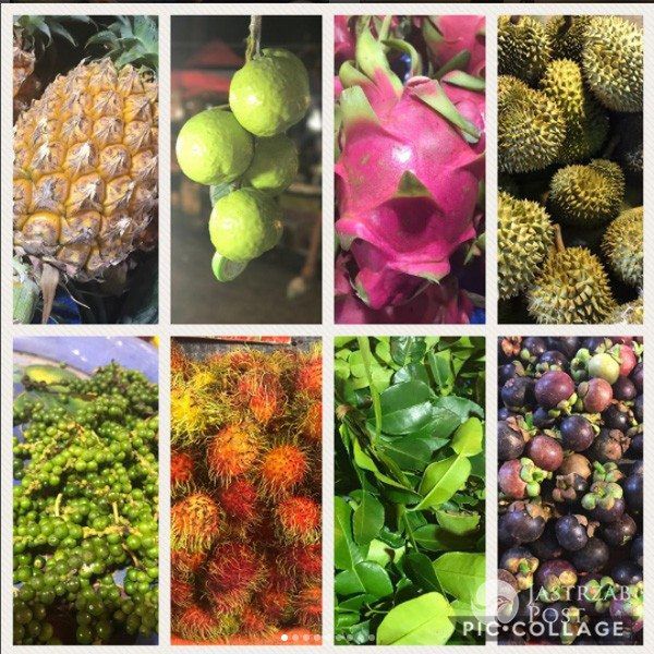 Dorota Gardias na rajskich wakacjach z córką