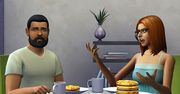 Wygląda na to, że nie będzie przedpremierowych recenzji The Sims 4