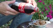Zmień Coca-Colę w lody w kilka sekund - wystarczy zwykła lodówka!
