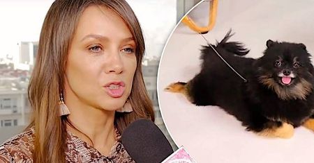 Pies Kingi Rusin miał problemy emocjonalne! Konieczne były wizyty u psiego psychologa: "Wpadłyśmy w traumę" [WIDEO]