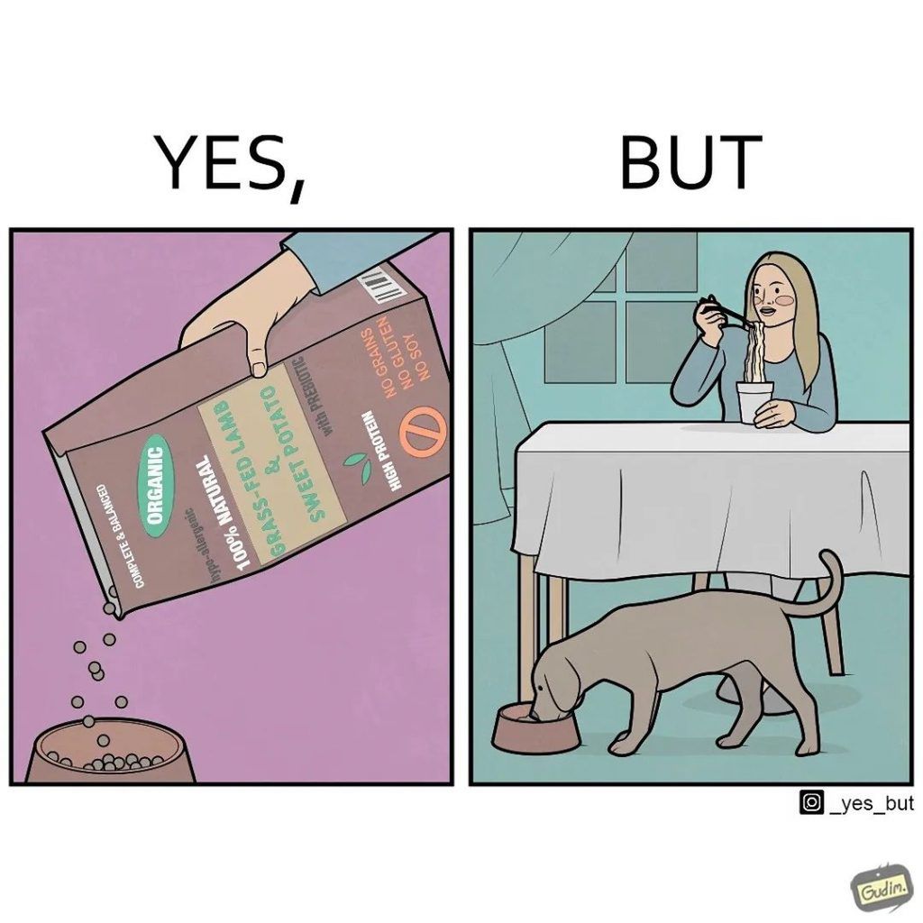 _yes_but/instagram