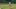 Grand Slam Tennis 2: Wimbledon, afektowane emocje i data premiery gry