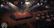Pot i krew - galeria z EA Sports MMA