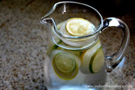 Lemon & Lime Ice Cubes