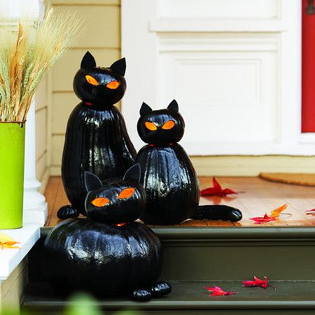 Black Cat-o-Lanterns