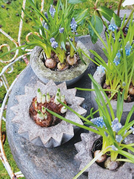 Concrete Garden Planters