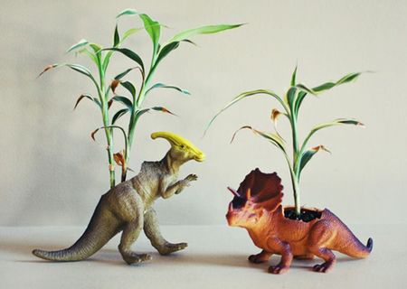 Dinosaur Planters