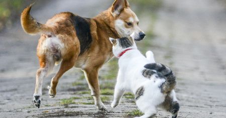 Koronawirus na świecie. Wielka przemiana w Chinach. Wprowadzają nowe restrykcje