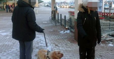 Zostawili psa pod centrum handlowym. "Ma futro, nie zmarznie"