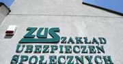 Strata dochodów o 20 proc. powinna gwarantować zwolnienie z ZUS dla wszystkich przedsiębiorców