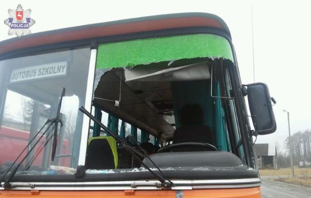 W autobus uderzyła kaczka. Dziecko zostało ranne