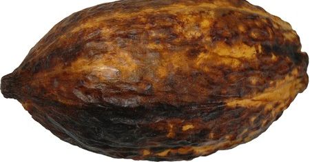 Kokosowe szaleństwo