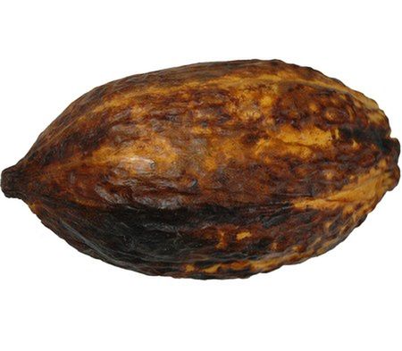 Kokosowe szaleństwo