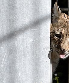 Pół roku w "klatce"