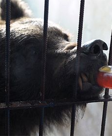 Jak minął tydzień w Polsce