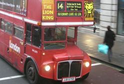 "Polacy zabierają pracę Londyńczykom"