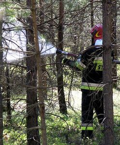 Seryjny podpalacz na Śląsku - wyznaczono nagrodę