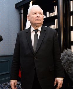 CBOS: PiS wciąż na fali. To jeden z najlepszych wyników od czasu ostatnich wyborów