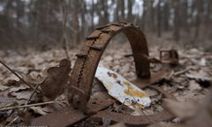 Radny PiS kłusownikiem? Znaleziono u niego amunicję i wnyki