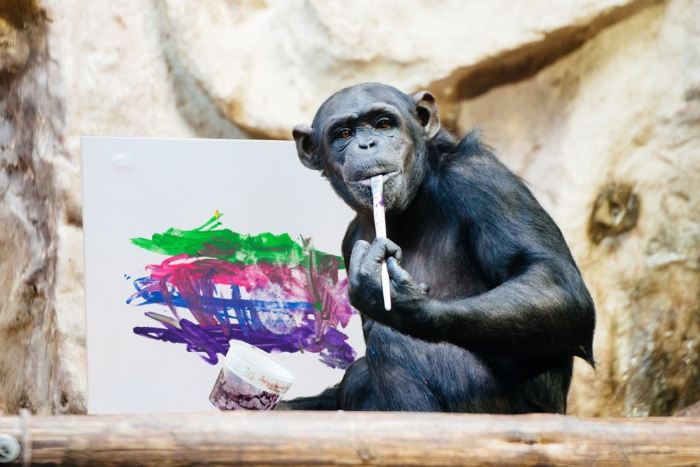Obraz szympansicy Lucy wylicytowany w ramach WOŚP. Osiągnął zawrotną sumę