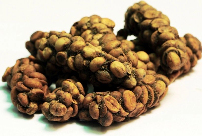 Kopi Luwak to najdroższa kawa na świecie. Jest produkowana w Indonezji.