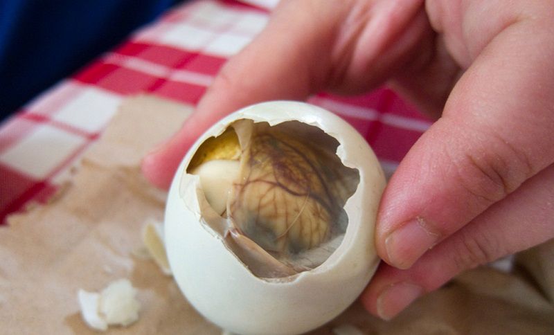 Balut to jajo, które jest gotowane wraz z żywym płodem. To powszechne danie spotykane w krajach Południowo-Wschodniej Azji, takich jak Wietnam i Kambodża.