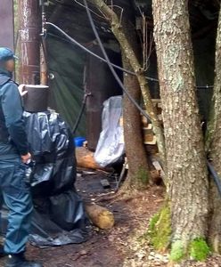 Akcja służb w lesie na Podlasiu. "Nowa fabryka"