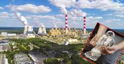 Elektrownia Bełchatów z nietypową hodowlą. Zapewni dom rodzinie wędrownych sokołów