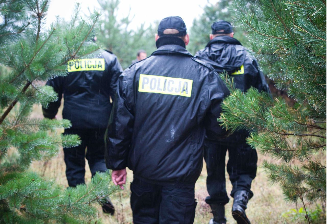 Atak nożownika w lesie na terenie gminy Kolbudy. Trwają policyjne poszukiwania