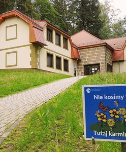 Nowa wojna w polskich miastach. Poszło o... koszenie trawników