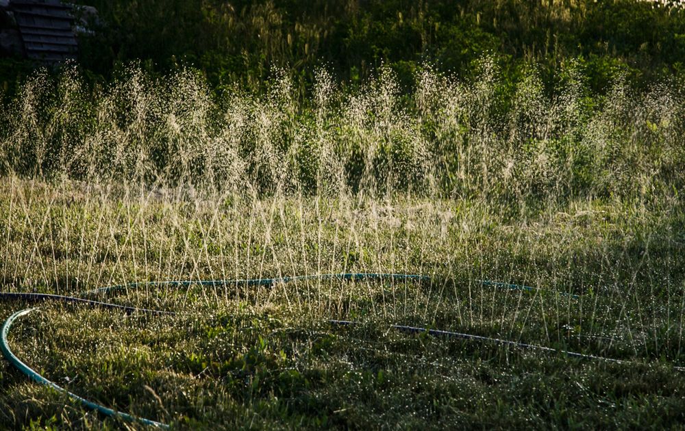 Dobre nawodnienie to podstawa pięknego wyglądu trawnika