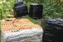 Olsztyn. Leśnicy znaleźli 4 palety jajek w lesie