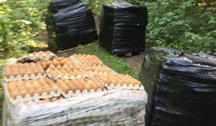 Olsztyn. Leśnicy znaleźli 4 palety jajek w lesie