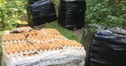 Olsztyn. Leśnicy znaleźli 4 palety jajek w lesie
