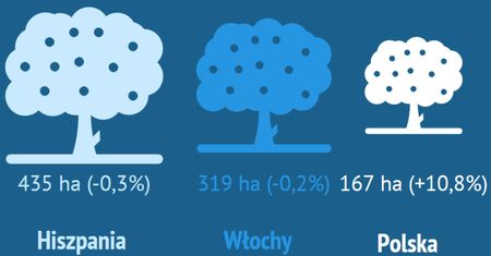Polska sadem Europy. Gonimy już tylko Hiszpanię i Włochy