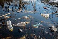 Niemieckie firmy nielegalnie wywożą śmieci do Polski. Robią na tym świetny interes