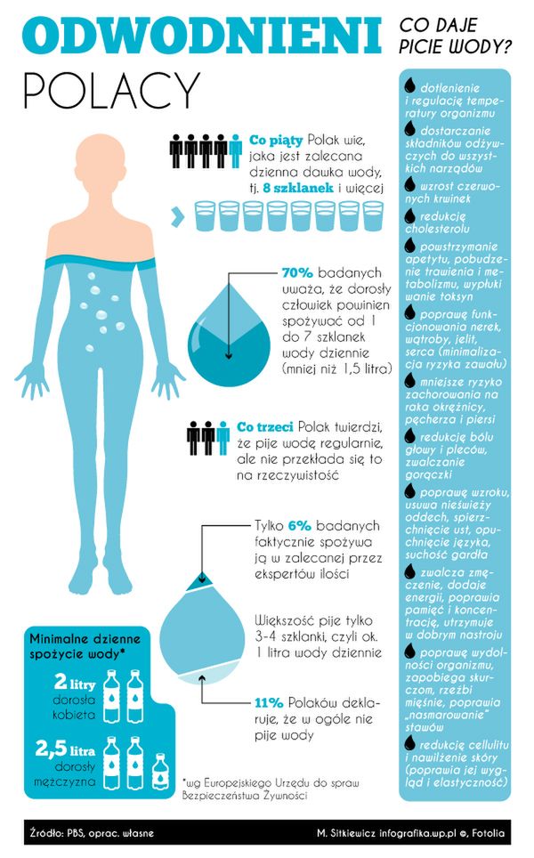infografika.wp.pl)