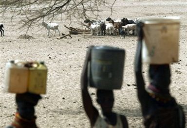 8 milionów Afrykańczyków może umrzeć z powodu suszy
