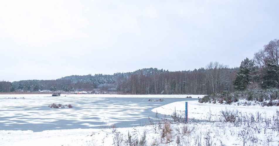 Lubisz jeździć na łyżwach? Tych miejsc unikaj