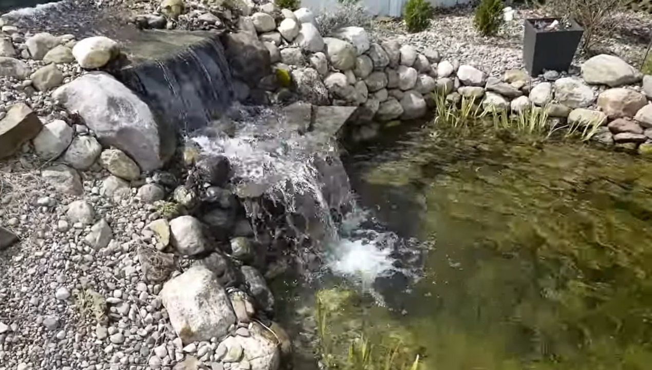 jak dbać o oczko wodne, fot. Youtube/BackyardWaterGarden