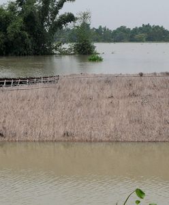 Indie: 26 ofiar lawiny błotnej i powodzi