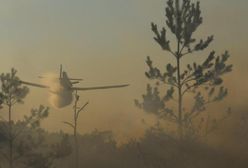 Pożar lasu na granicy województw. Płonie 25 hektarów