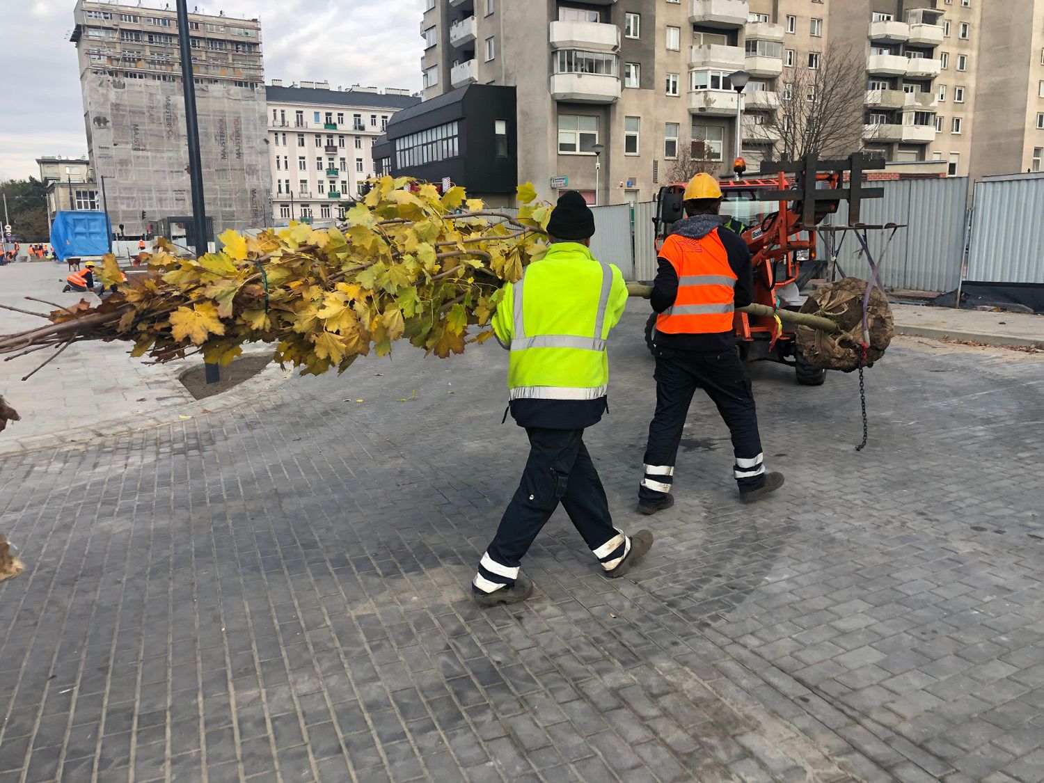Warszawa. Pracownicy Metra Warszawskiego "zazieleniają" teren wokół nowych stacji metra na Wolę 